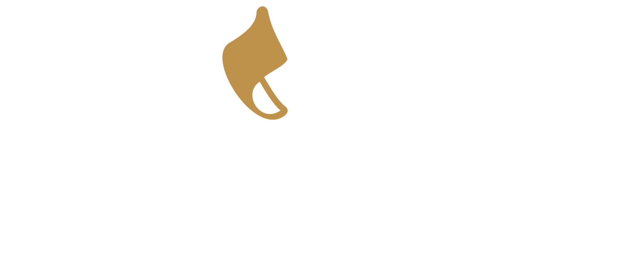 קרויזר לוגו